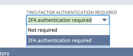 NetSuite Security - 2FA